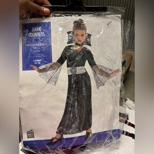 Party City Child Girls Large Dark Countess Witch Vampire Spider Web Costume